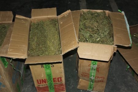 Gaziantep'te uyuşturucu ticareti yapan 12 kişi tutuklandı