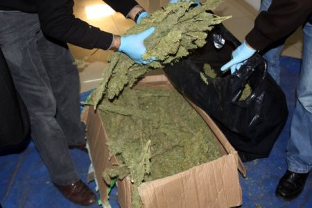 Gaziantep'te uyuşturucu ticareti yapan 12 kişi tutuklandı