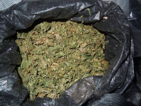 Gaziosmanpaşa’da 126 kilogram esrar ele geçirildi