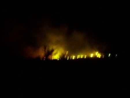 Gazipaşa'da Orman Yangını (2)
