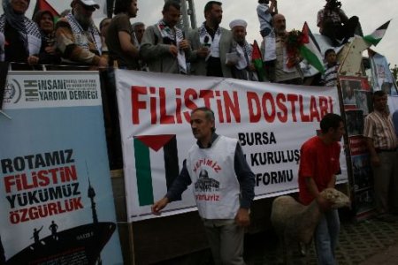 Gazze'ye Giden Gönüllüler Bursa'da Kurbanlarla Karşılandı