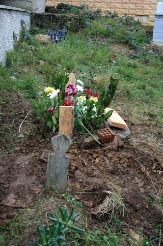 Gebze'de 6 Aylık Bebek Domuz Gribinden Öldü