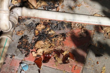 Gece yarısı molotof atılan evdeki anne ve çocuklar ölümden döndü