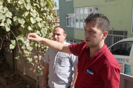 Gece yarısı molotof atılan evdeki anne ve çocuklar ölümden döndü