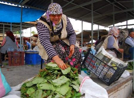 Geçimlerini asma yaprağından sağlıyorlar