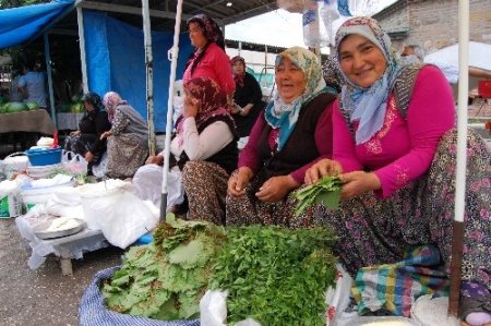 Geçimlerini asma yaprağından sağlıyorlar