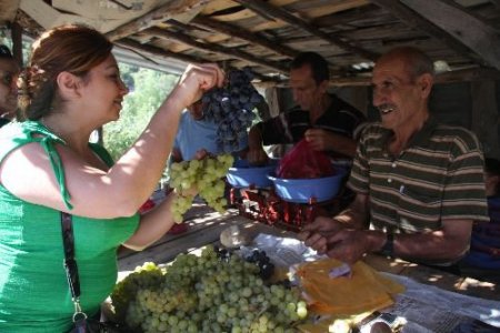 Geçimlerini Organik Ürünlerle Sağlıyorlar