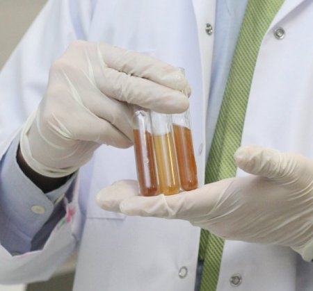 Gediz'li Kimyager, Doğal Polyester Ve Poliüretan Üretti