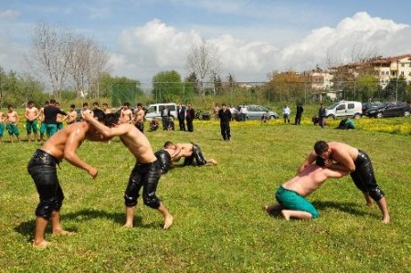 Geleceğin Kurtdereli Yusufları, Kel Aliço'ları Manavgat'ta yetişiyor
