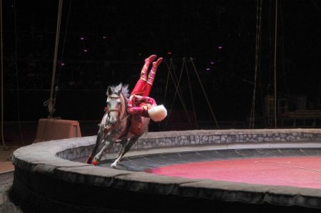 Geleneksel Ankara & Moskova Sirki Kurban Bayramı’nda başlıyor