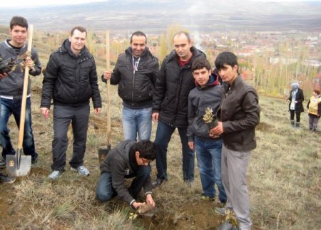 Gemerek'te tohumlar fidana, fidanlar ağaca dönecek