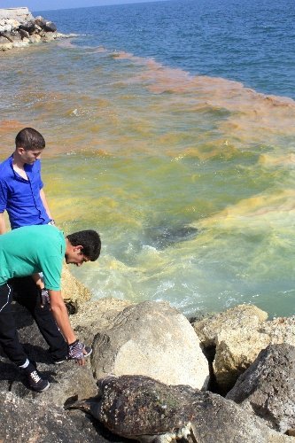 Gemilerden bırakıldığı iddia edilen atıklar denizi kızıla boyadı
