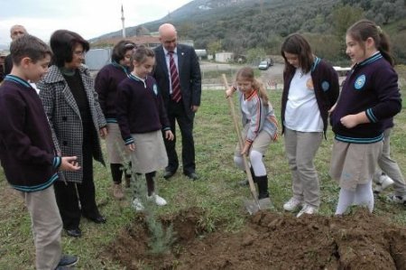 Gemlik Girişi Ağaçlandırılıyor