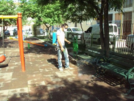 Gemlik'te Keneye Karşı İlaçlama Çalışması Yapılıyor