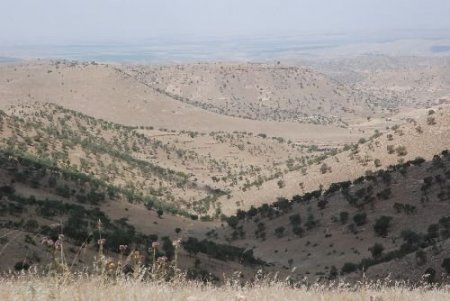 Gercüş'te Toplu Mezar Olduğu İddia Edilen Yer Kazıldı