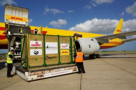 Gergedanlar, 10 Saatlik Uçak Yolculuğu İle Doğal Yaşama Kavuştu