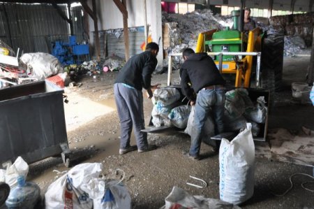 'Geri dönsün, yaşam sürsün' projesiyle 39 bin 503 ağaç kurtarıldı