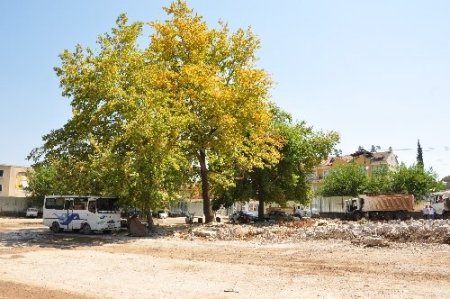 Gezi parkı eylemleri Fethiye'de proje değiştirtti