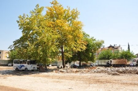 Gezi parkı eylemleri Fethiye'de proje değiştirtti