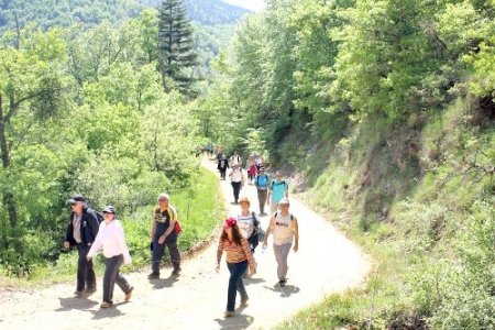 Gezmesi sizden masrafı belediyeden