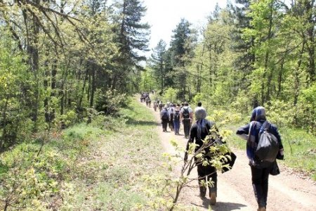 Gezmesi sizden masrafı belediyeden