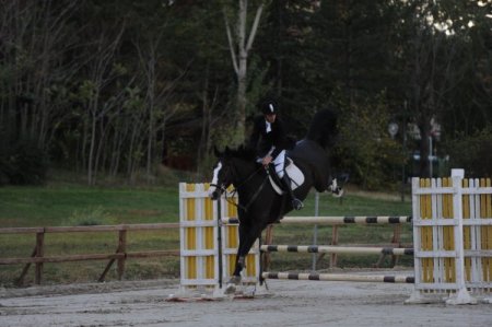Gıda, Tarım ve Hayvancılık Bakanlığı Kupası Wassenaar'ın