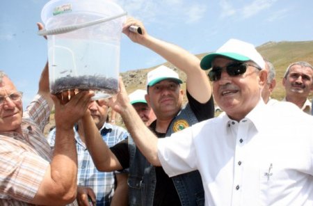 Giresun'da Akarsular Balıklarla Süslenecek