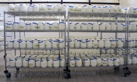 Gmka'nın Desteğiyle Süt İşleme Kapasitesini Yüzde 70 Artırdı