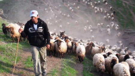 Göçer çocukları okula bir ay geç başlayacak