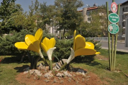 'Göçgöç' Çiçeği Muğla Parklarında