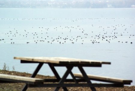 Göçmen kuşların yolculuğu başladı