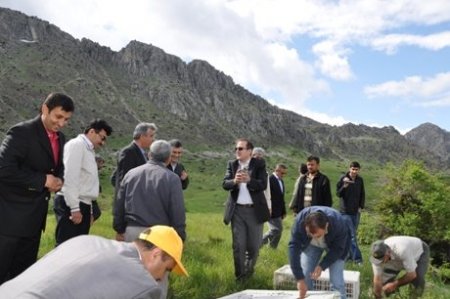 Göksun'da 500 Adet Keklik Doğaya Bırakıldı