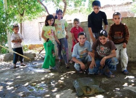 Göl Canavarı Yakalandı Köylü Rahat Bir Nefes Aldı