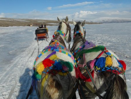 Göl erimedi, atlı kızak keyfi devam ediyor