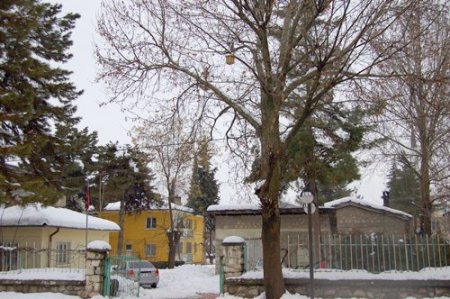 Gölbaşı'nda Ağaçlara Ahşap Kuş Kafesleri Yerleştirildi