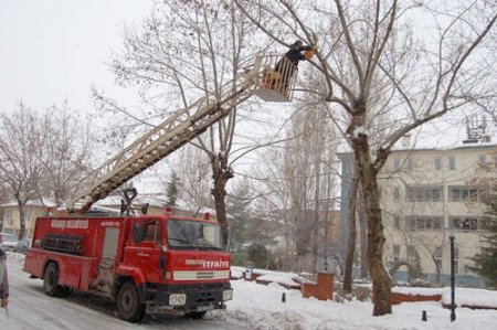 Gölbaşı'nda Ağaçlara Ahşap Kuş Kafesleri Yerleştirildi