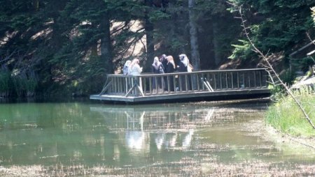 Gölcük’e Yerli Turist Akını