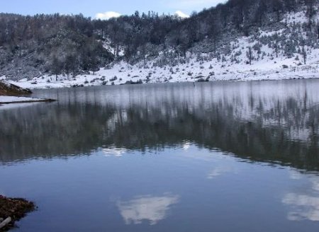 Gölet Ve Derelere Nesli Tükenmekte Olan Kırmızı Benekli Yabani Alabalık Yavrusu Bırakıldı
