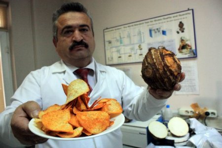 Gölevez cipsi patatese alternatif olacak