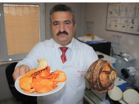 Gölevez cipsi patatese alternatif olacak