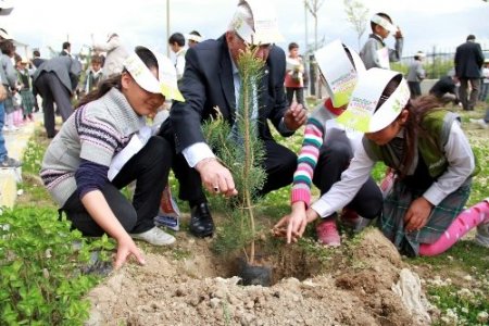 Gonca Çocuk Dergisi Van'da 20 bin fidan dağıttı