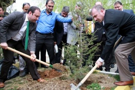 Gonca Çocuk Dergisi Van'da 20 bin fidan dağıttı