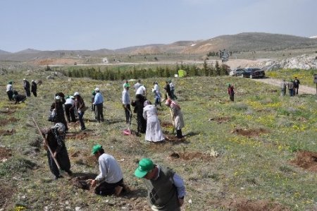 'Gönül gözleriyle 300 gidan diktiler'