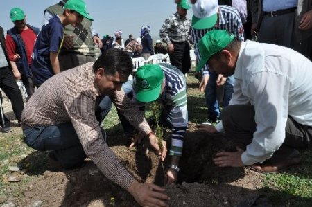 'Gönül gözleriyle 300 gidan diktiler'