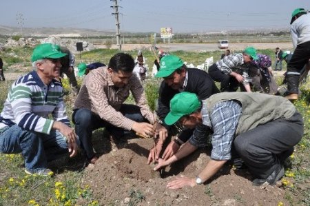 'Gönül gözleriyle 300 gidan diktiler'
