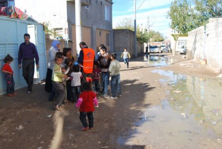 Gönüllüler, Doğu-Batı kardeşliği için kurban yardımına koştu