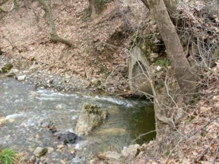 Gönüllüler suların nasıl kirletildiğini resimledi