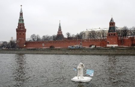 Greenpeace ayısı Moskova nehrinde Kremlin’den yardım istedi