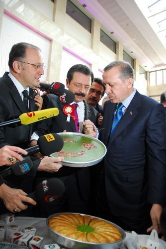 Gso Başkanı Nejat Koçer, Ödülünü Başbakan Erdoğan'ın Elinden Aldı