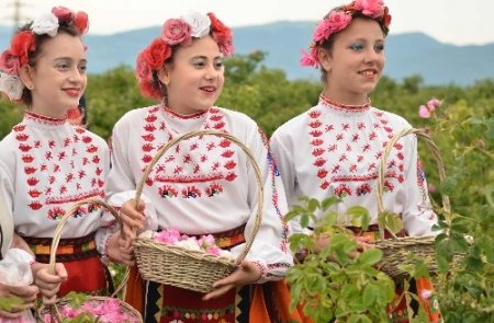 Gül Vadisi'nde gül festivali